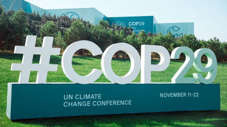 COP29